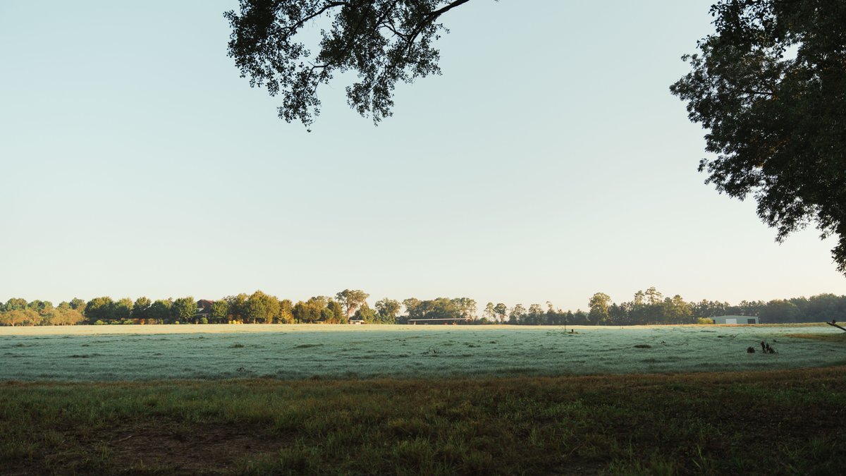 Image for The Massee Post Estate - 75+/- Acres with 6,700+/- Sq. Ft. Luxury Home in Cook County, Georgia