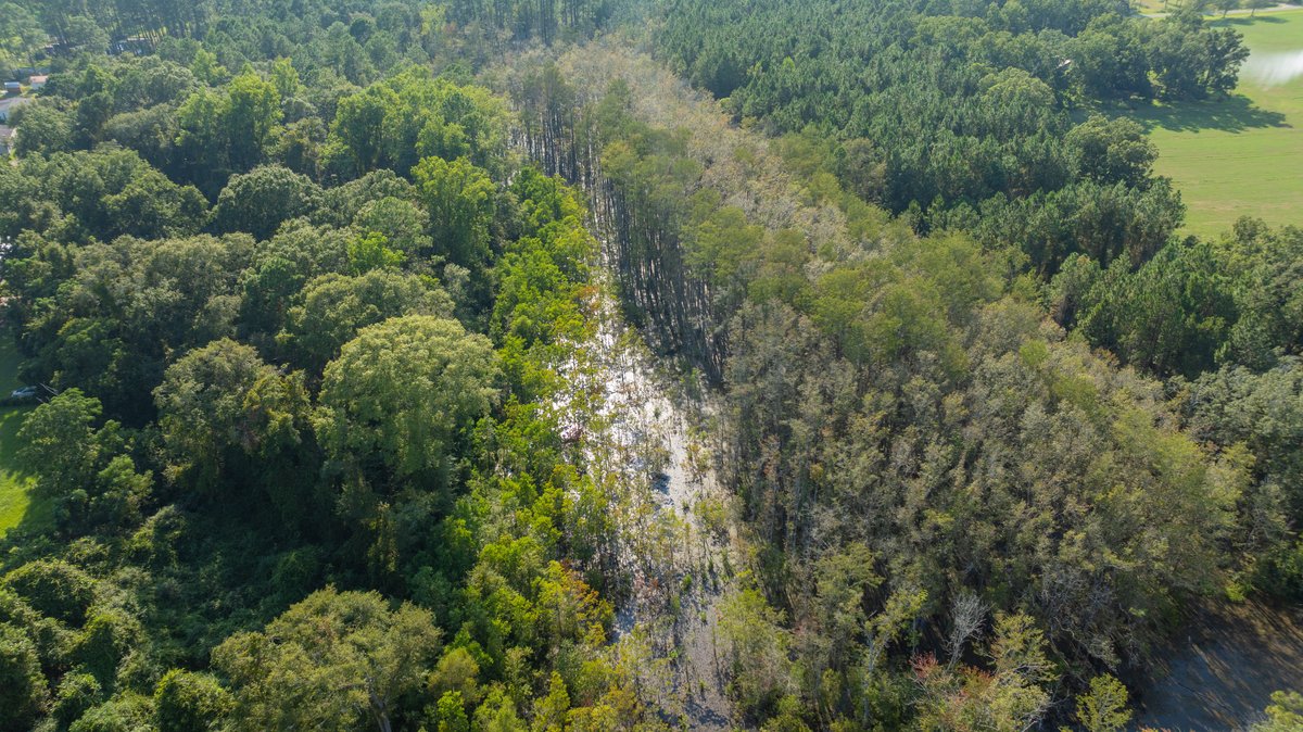 Image for The Massee Post Estate - 75+/- Acres with 6,700+/- Sq. Ft. Luxury Home in Cook County, Georgia