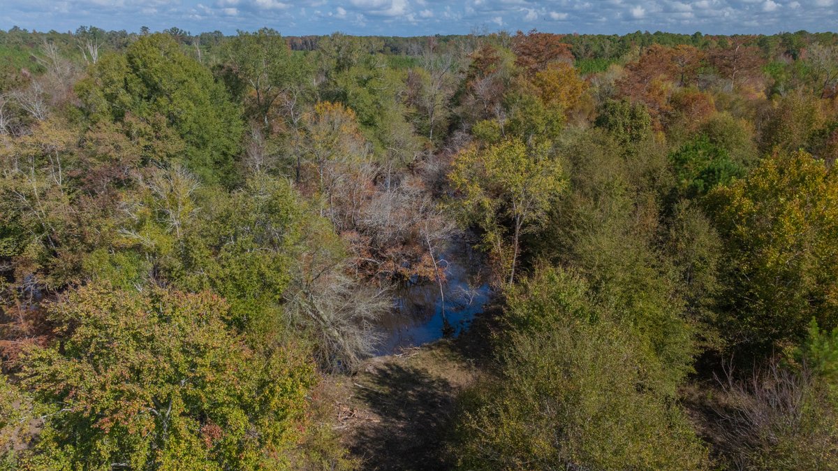 Image for The Hinson Farm – 191+/- Acres - Recreational Paradise with Income-Producing Potential in Dodge County, GA