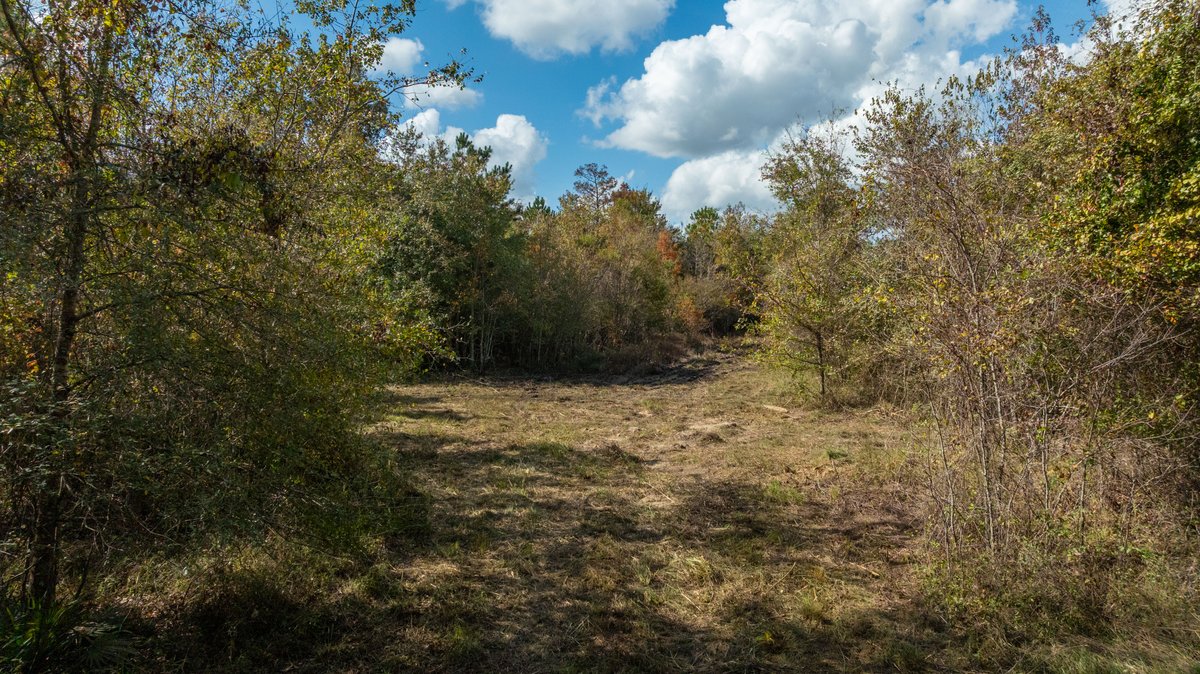 Image for The Hinson Farm – 191+/- Acres - Recreational Paradise with Income-Producing Potential in Dodge County, GA