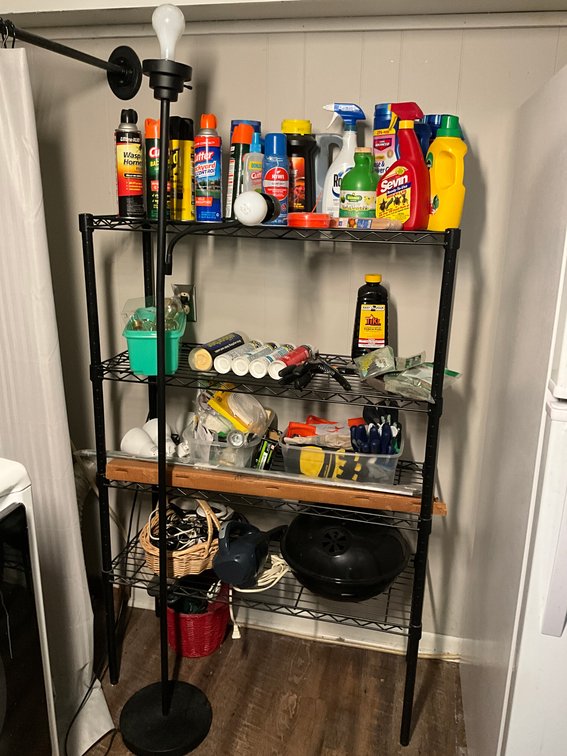 Shelf And Contents With Floor Lamp