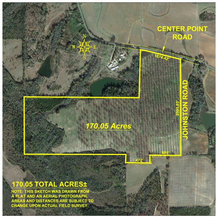 Image for 170+/- Acres - Musgrove Estate - Turn-Key Pecan Operation - Sportsman's Paradise