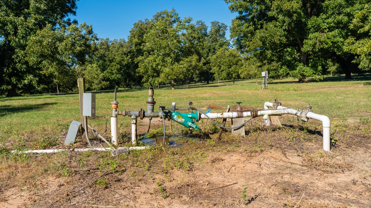 Image for 170+/- Acres - Musgrove Estate - Turn-Key Pecan Operation - Sportsman's Paradise