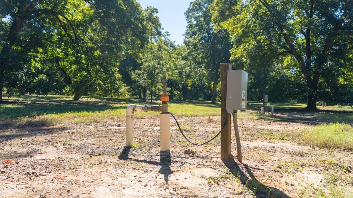 Image for 170+/- Acres - Musgrove Estate - Turn-Key Pecan Operation - Sportsman's Paradise