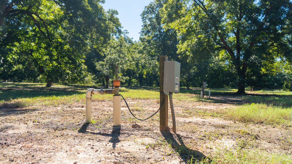 Image for 170+/- Acres - Musgrove Estate - Turn-Key Pecan Operation - Sportsman's Paradise