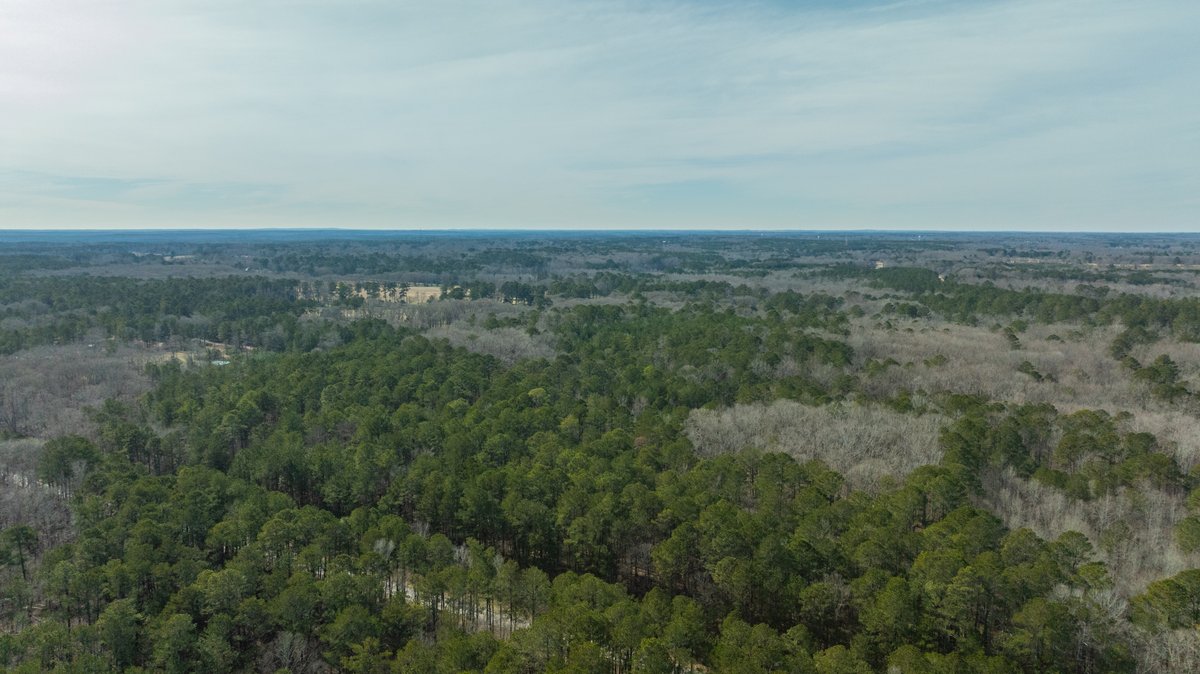 Image for 38.2 +/- Acres - Higgins Curve - Prime Building Lots w/ Recreational Acreage - Offered Divided & As A Whole