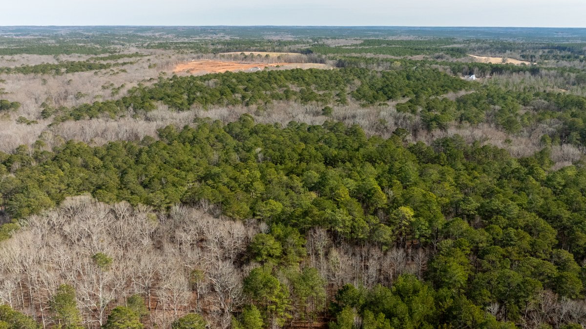 Image for 38.2 +/- Acres - Higgins Curve - Prime Building Lots w/ Recreational Acreage - Offered Divided & As A Whole