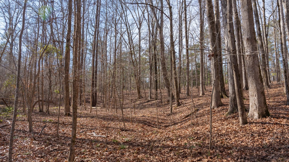 Image for 38.2 +/- Acres - Higgins Curve - Prime Building Lots w/ Recreational Acreage - Offered Divided & As A Whole