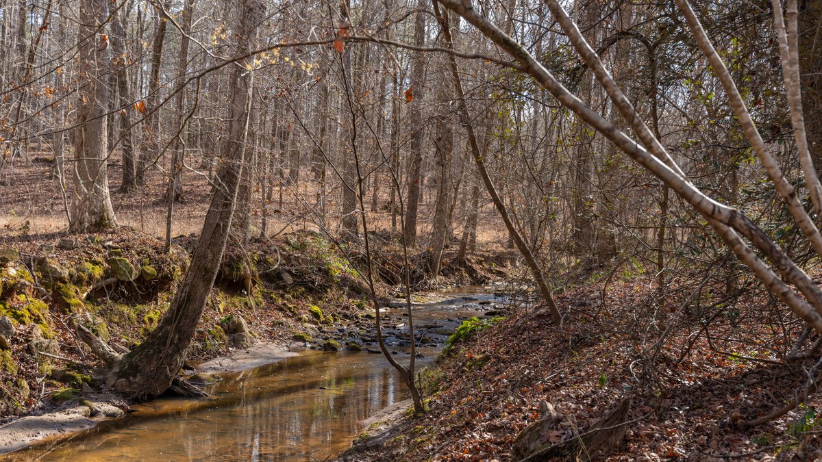Image for 38.2 +/- Acres - Higgins Curve - Prime Building Lots w/ Recreational Acreage - Offered Divided & As A Whole
