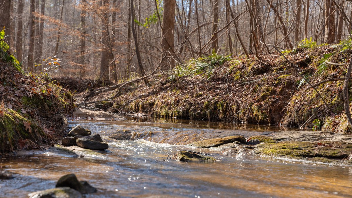 Image for 38.2 +/- Acres - Higgins Curve - Prime Building Lots w/ Recreational Acreage - Offered Divided & As A Whole