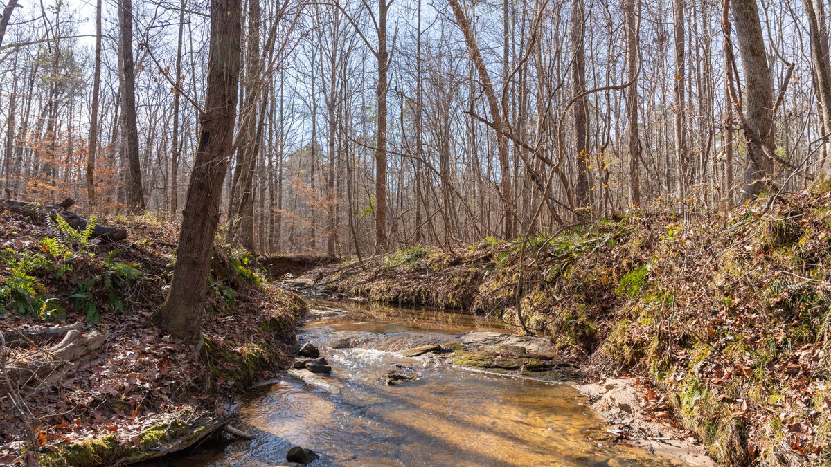 Image for 38.2 +/- Acres - Higgins Curve - Prime Building Lots w/ Recreational Acreage - Offered Divided & As A Whole