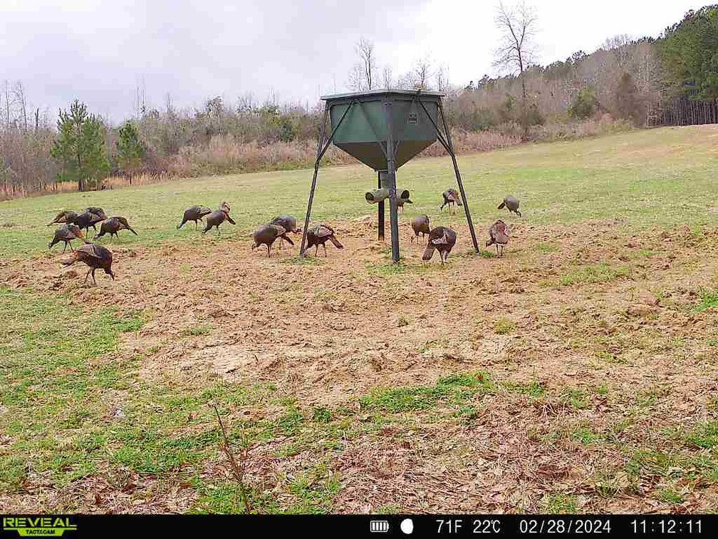 Image for M7 Muckalee Creek Farms - 235.57 +/- Total Acres  - Turn-Key Sportsman’s Retreat