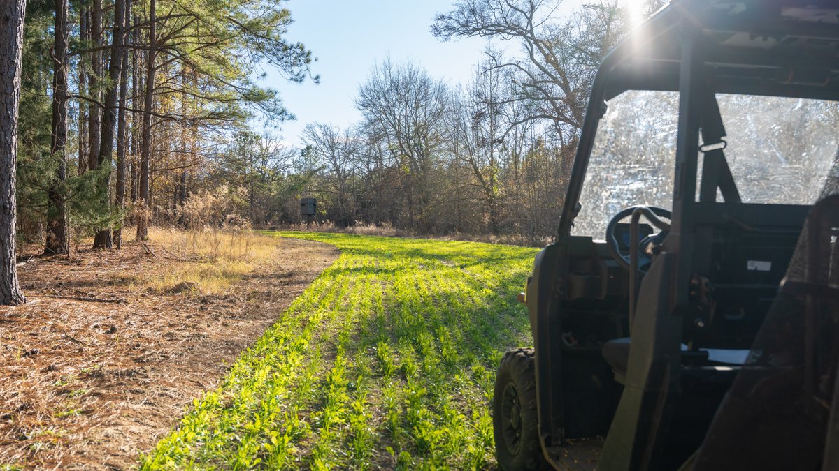 Image for M7 Muckalee Creek Farms - 235.57 +/- Total Acres  - Turn-Key Sportsman’s Retreat
