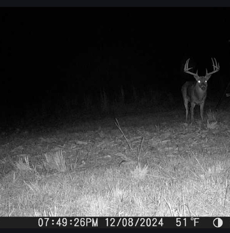 Image for M7 Muckalee Creek Farms - 235.57 +/- Total Acres  - Turn-Key Sportsman’s Retreat