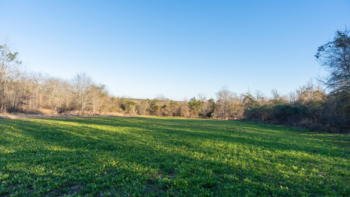 Image for M7 Muckalee Creek Farms - 235.57 +/- Total Acres  - Turn-Key Sportsman’s Retreat