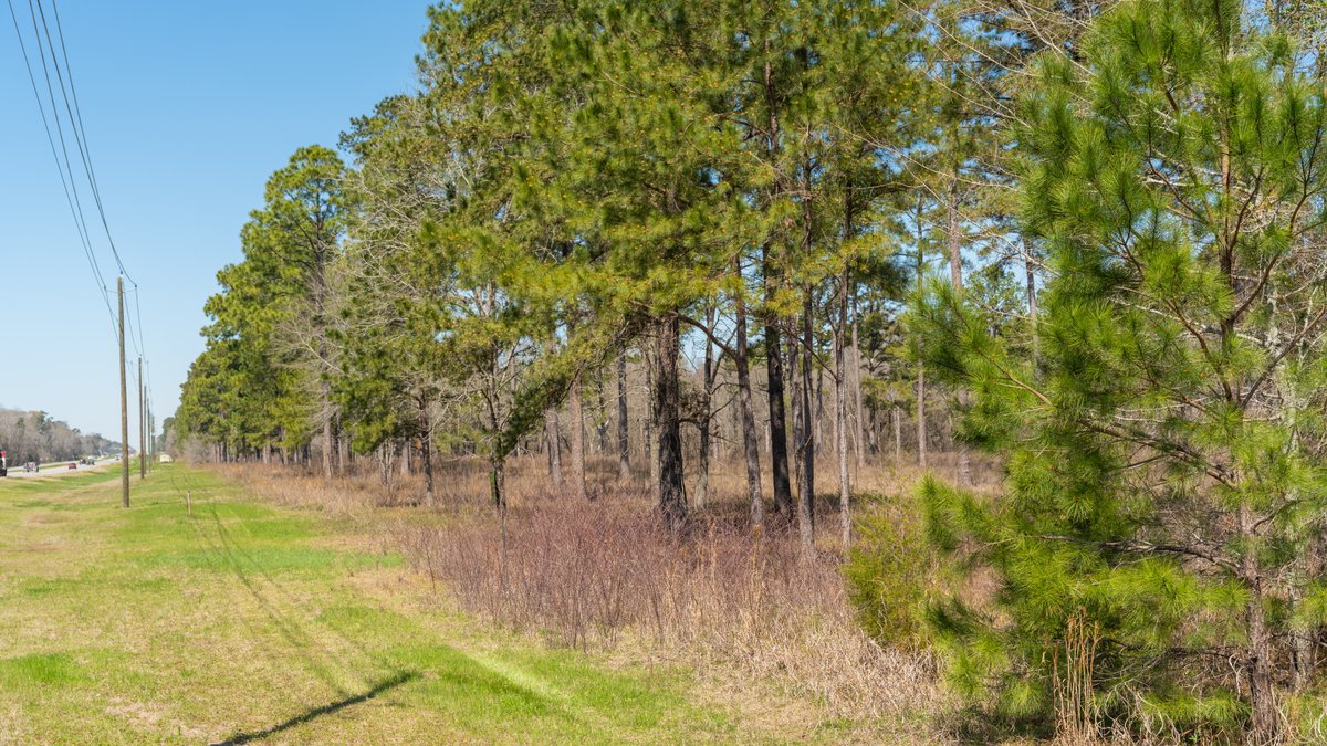 Image for 48.40+/- Acres - Oakland Plantation Commercial Acreage
