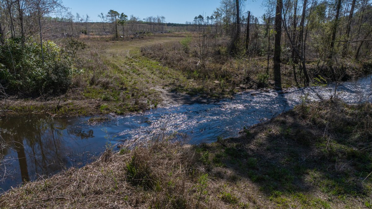 Image for The Sugar Creek Tract - Premier Hunting & Investment Opportunity - 252+/- Acres in Dodge County, Georgia