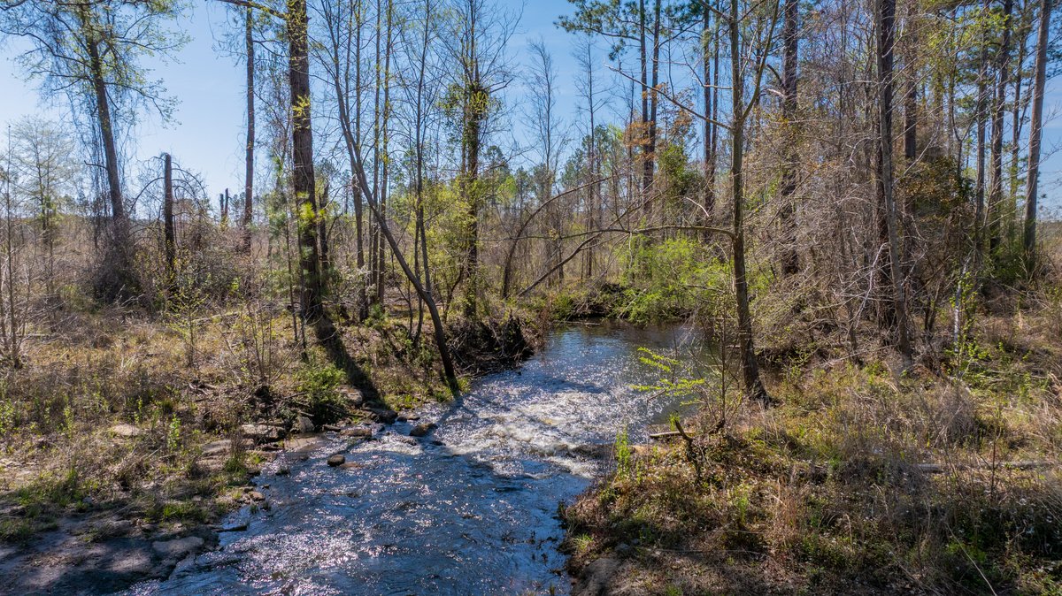 Image for The Sugar Creek Tract - Premier Hunting & Investment Opportunity - 252+/- Acres in Dodge County, Georgia