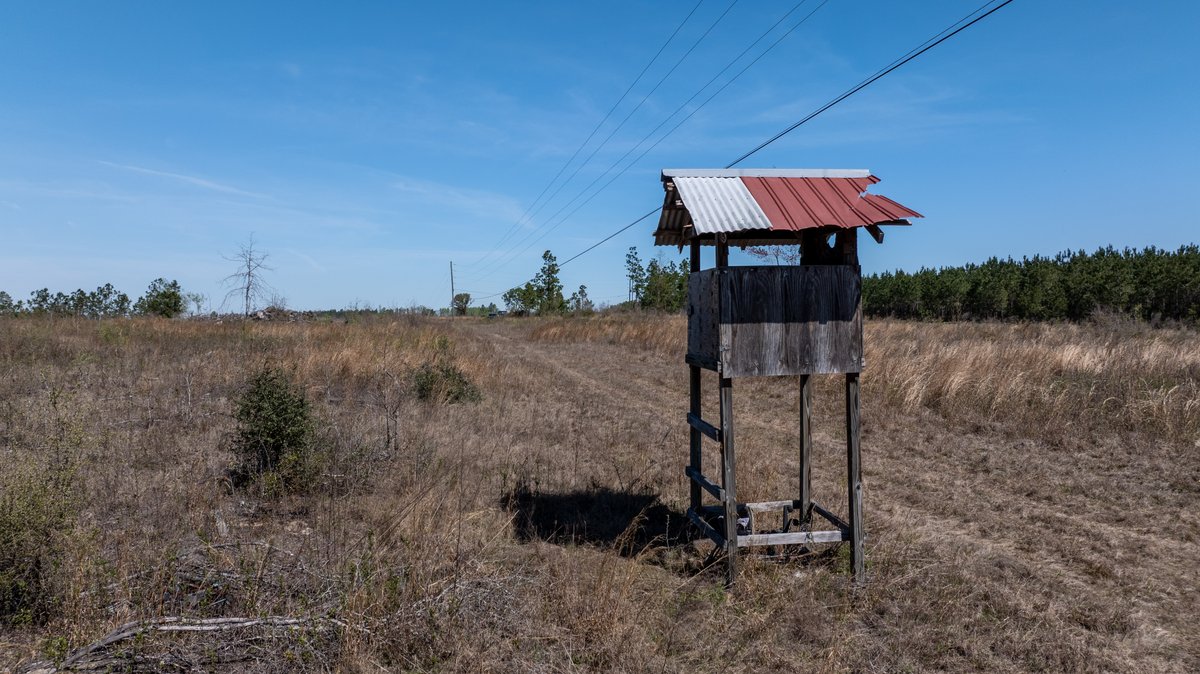 Image for The Sugar Creek Tract - Premier Hunting & Investment Opportunity - 252+/- Acres in Dodge County, Georgia
