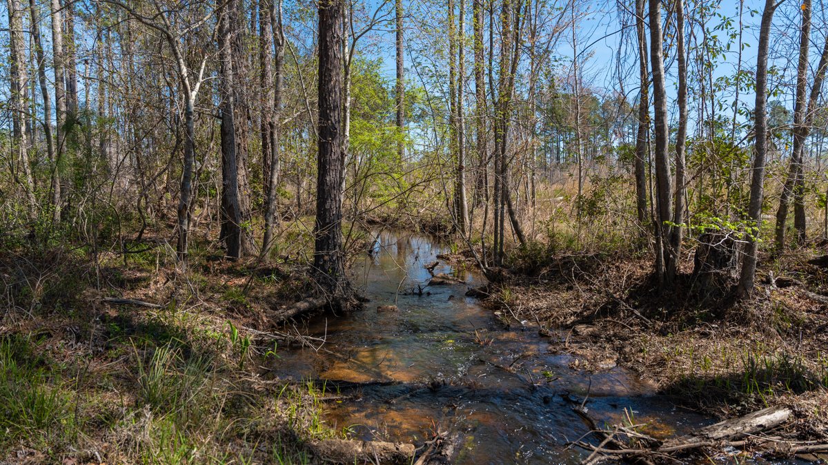 Image for The Sugar Creek Tract - Premier Hunting & Investment Opportunity - 252+/- Acres in Dodge County, Georgia