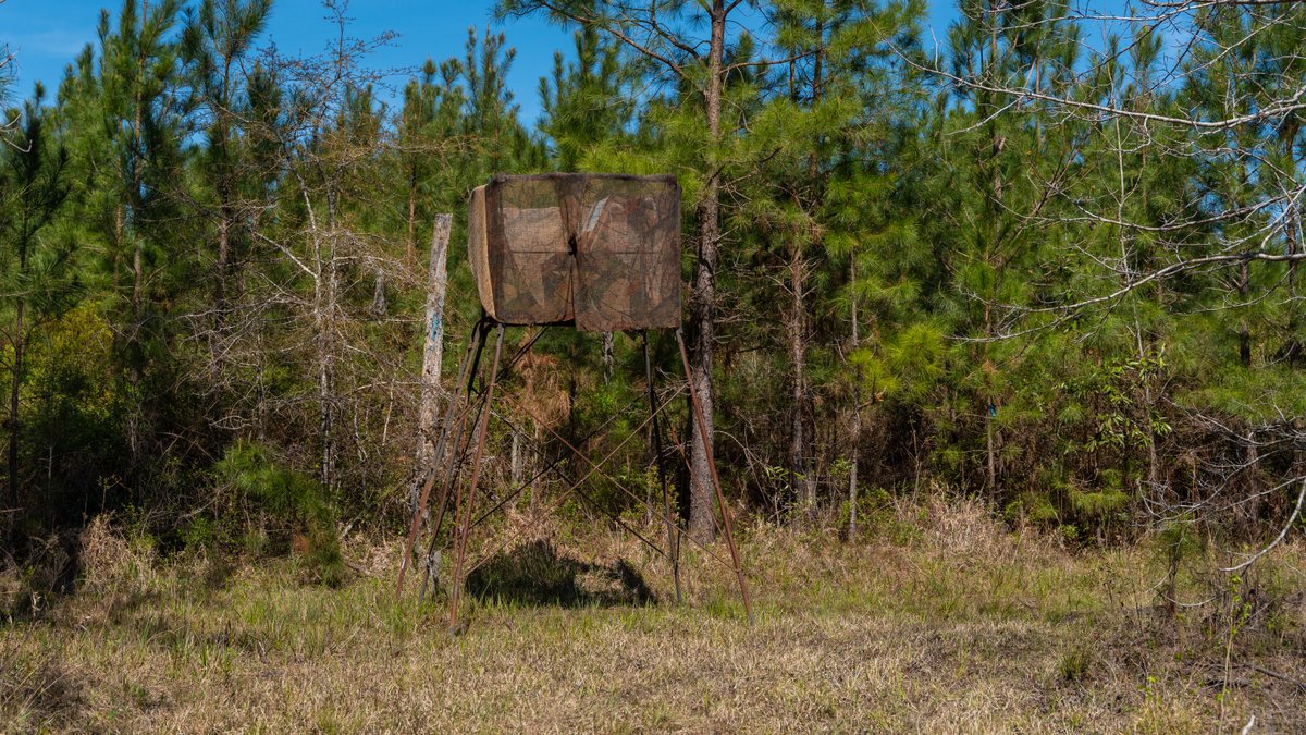 Image for The Sugar Creek Tract - Premier Hunting & Investment Opportunity - 252+/- Acres in Dodge County, Georgia