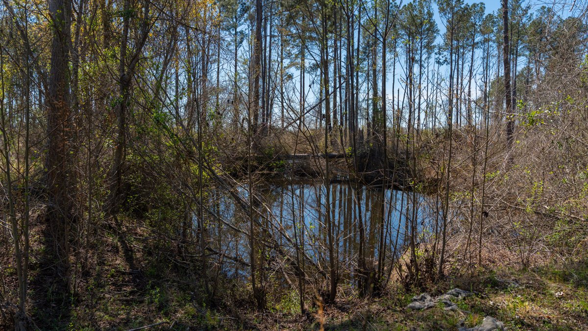 Image for The Sugar Creek Tract - Premier Hunting & Investment Opportunity - 252+/- Acres in Dodge County, Georgia