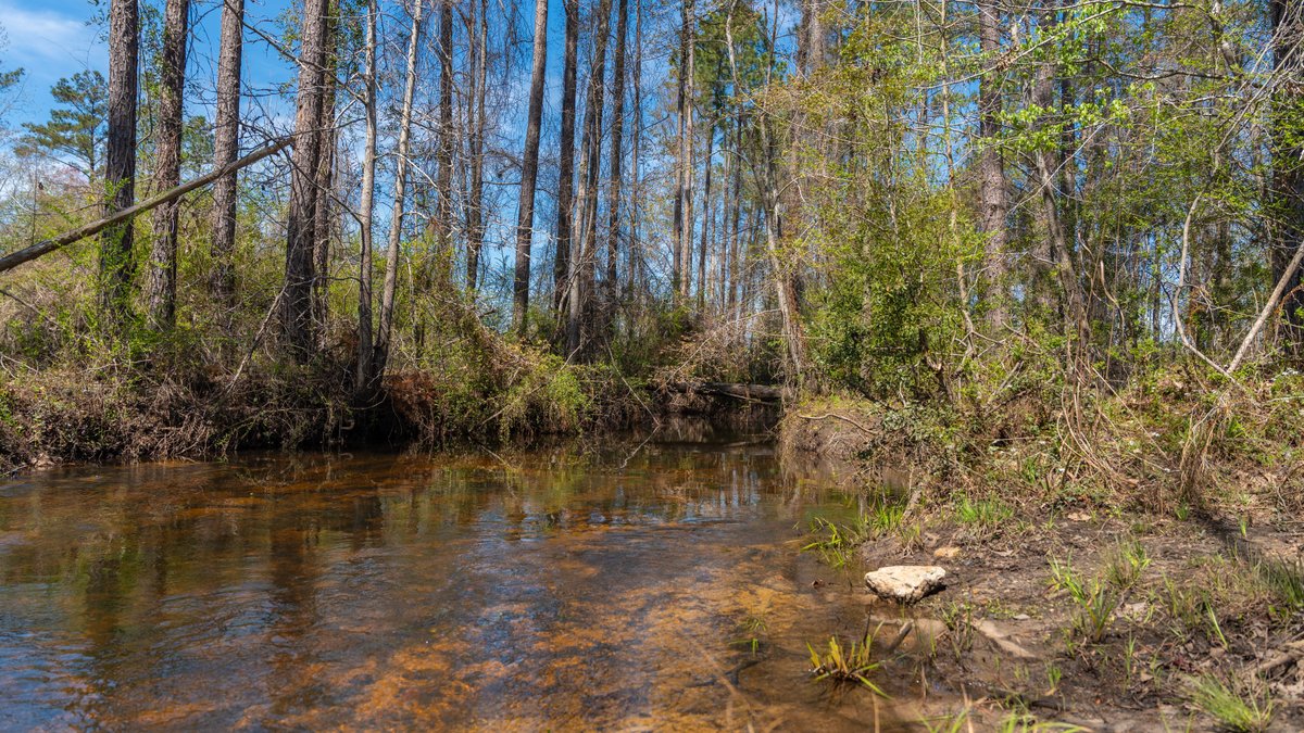 Image for The Sugar Creek Tract - Premier Hunting & Investment Opportunity - 252+/- Acres in Dodge County, Georgia