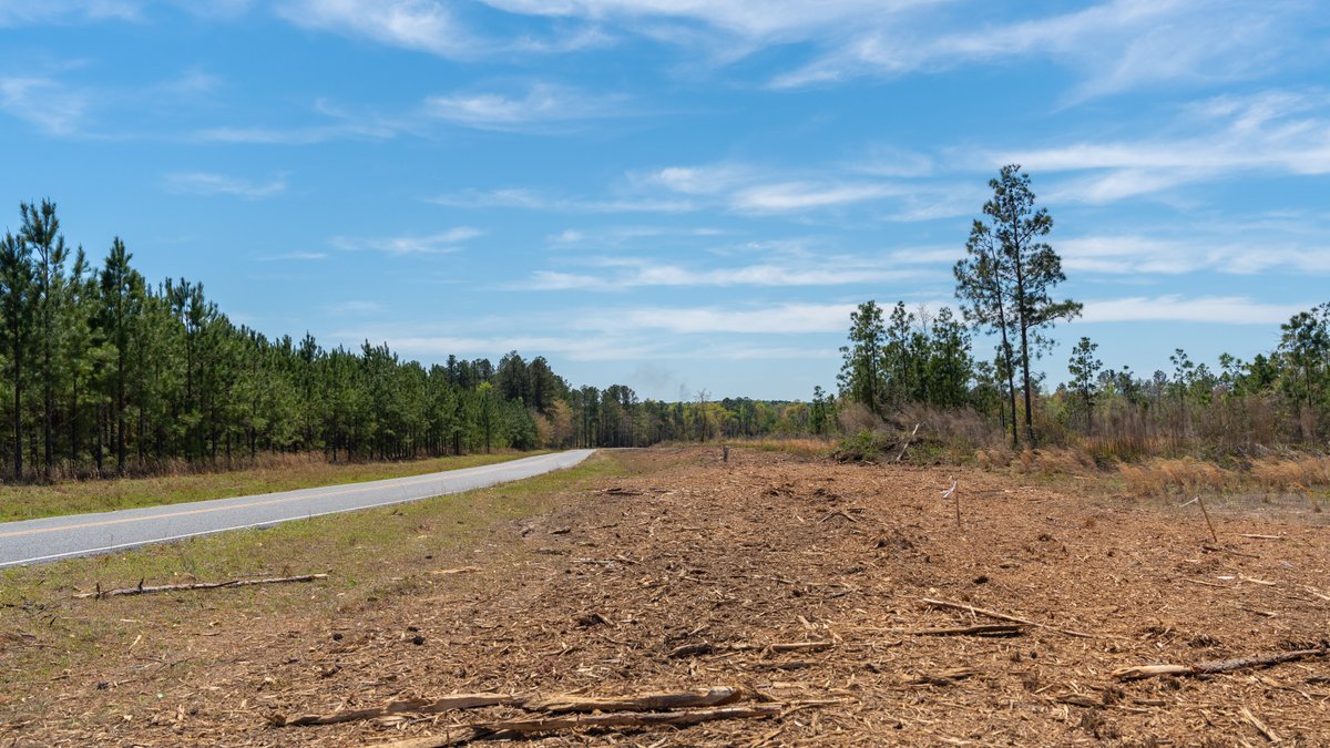 Image for The Sugar Creek Tract - Premier Hunting & Investment Opportunity - 252+/- Acres in Dodge County, Georgia