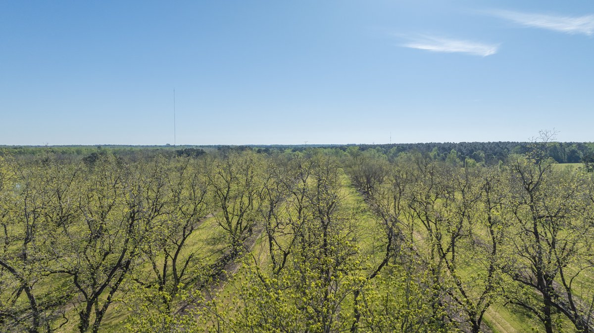 Image for 103+/- Acres - The Hand Tract