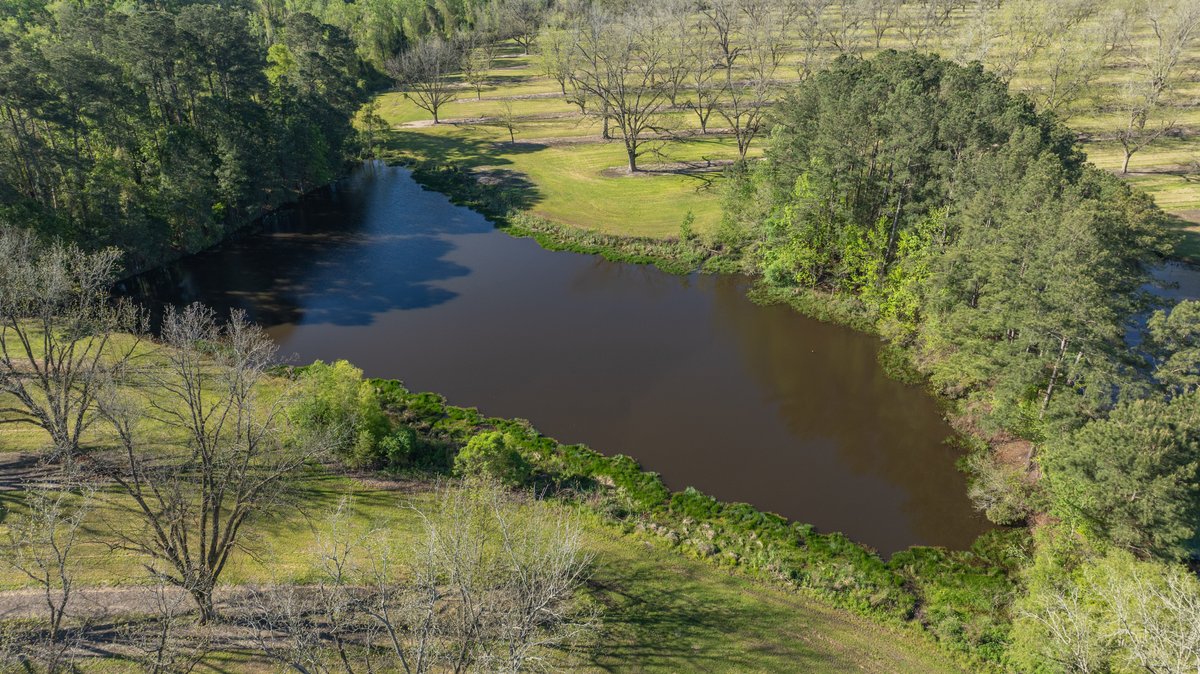 Image for 103+/- Acres - The Hand Tract