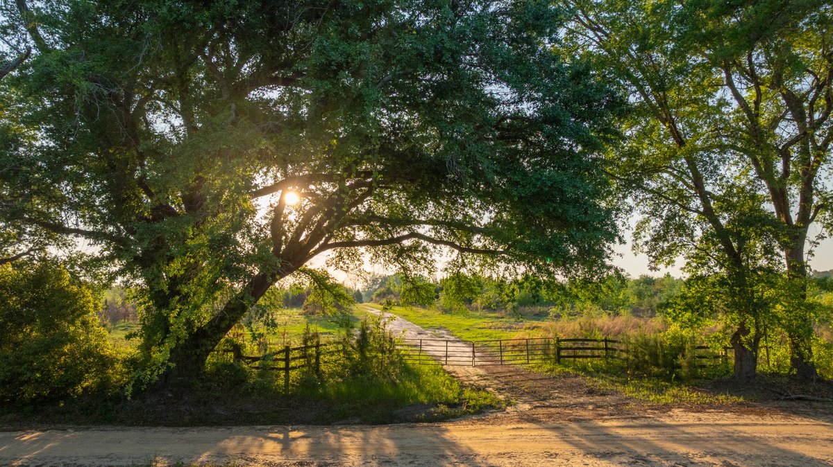 Image for 1,326 +/- Acres – Quail Crest Farms - Custom Lodge w/ Irrigated Acreage - Recreational Investment Opportunity
