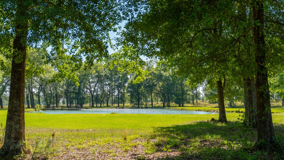 Image for 1,326 +/- Acres – Quail Crest Farms - Custom Lodge w/ Irrigated Acreage - Recreational Investment Opportunity