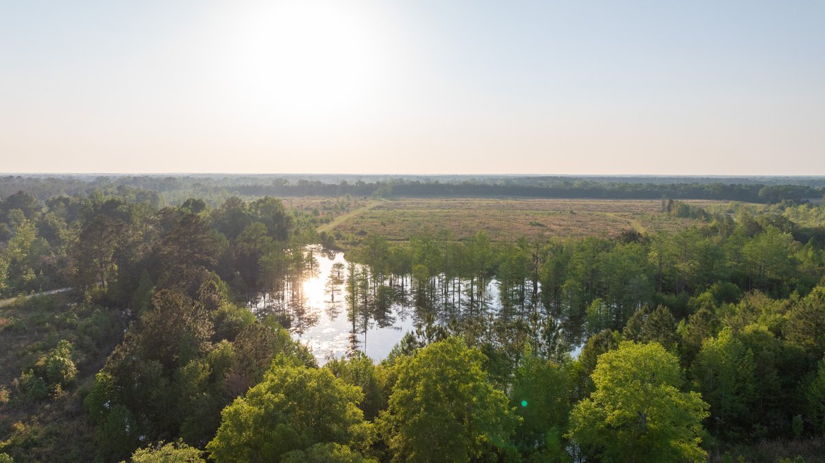 Image for 1,326 +/- Acres – Quail Crest Farms - Custom Lodge w/ Irrigated Acreage - Recreational Investment Opportunity