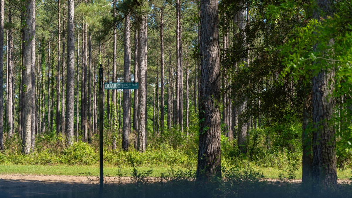 Image for 1,326 +/- Acres – Quail Crest Farms - Custom Lodge w/ Irrigated Acreage - Recreational Investment Opportunity