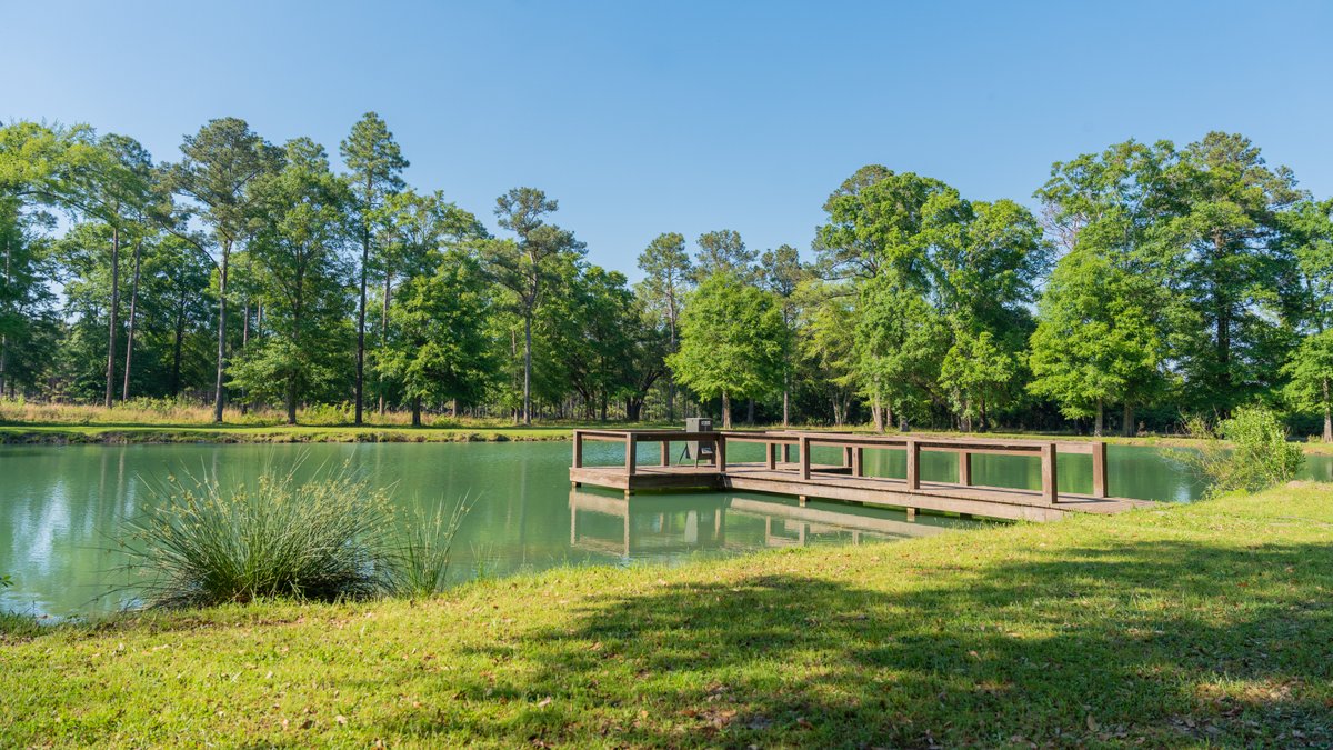 Image for 1,326 +/- Acres – Quail Crest Farms - Custom Lodge w/ Irrigated Acreage - Recreational Investment Opportunity