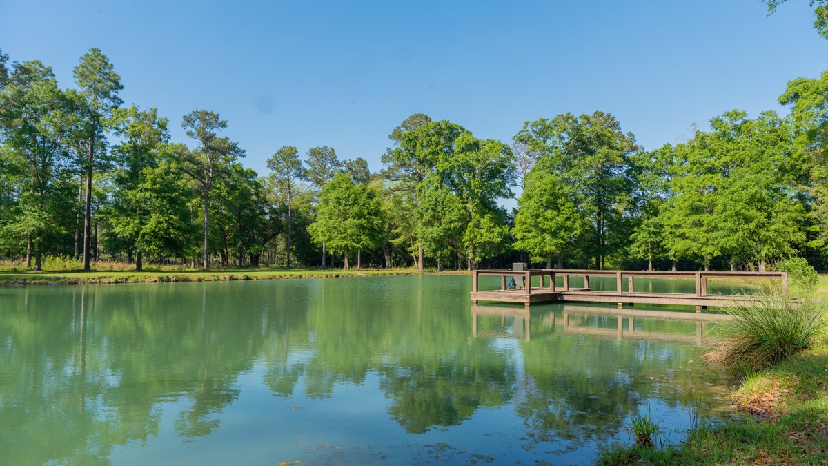 Image for 1,326 +/- Acres – Quail Crest Farms - Custom Lodge w/ Irrigated Acreage - Recreational Investment Opportunity