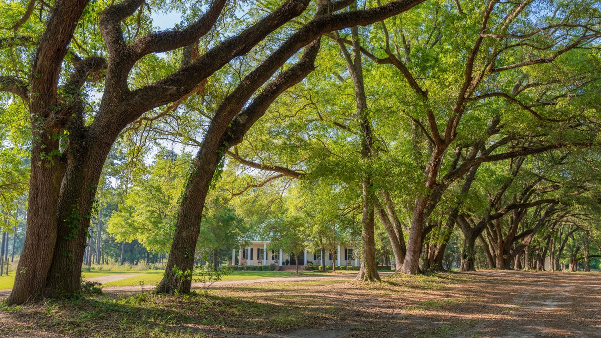 Image for 1,326 +/- Acres – Quail Crest Farms - Custom Lodge w/ Irrigated Acreage - Recreational Investment Opportunity