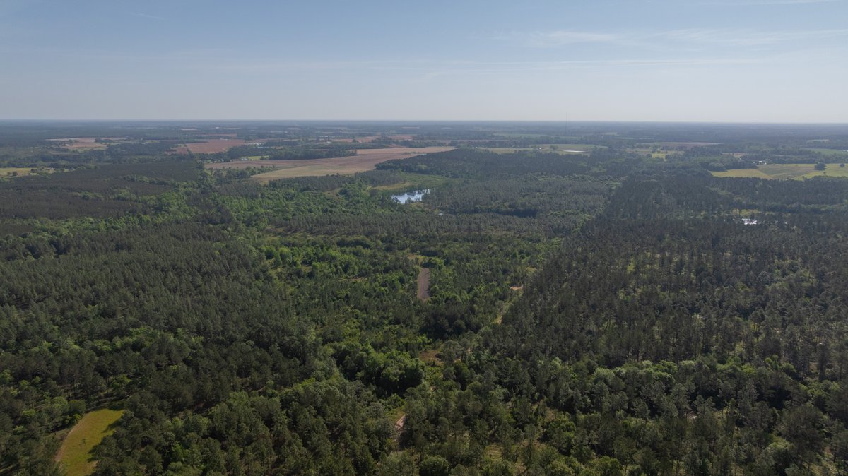 Image for 195+/- Total Acres - Premium Recreational Tract - Trophy Whitetails, Stocked Ponds & Plantation Pines