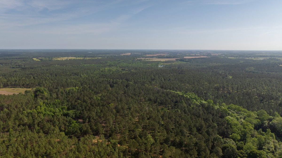 Image for 195+/- Total Acres - Premium Recreational Tract - Trophy Whitetails, Stocked Ponds & Plantation Pines