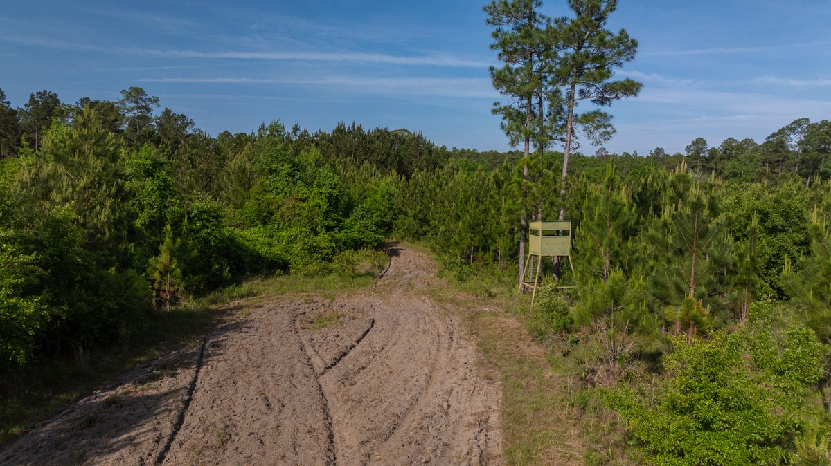 Image for 195+/- Total Acres - Premium Recreational Tract - Trophy Whitetails, Stocked Ponds & Plantation Pines