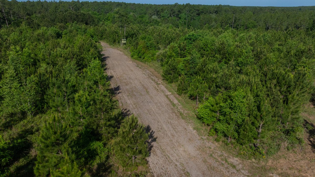 Image for 195+/- Total Acres - Premium Recreational Tract - Trophy Whitetails, Stocked Ponds & Plantation Pines