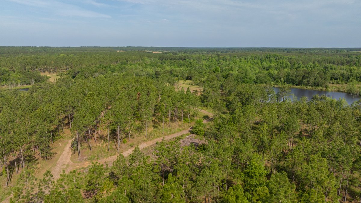 Image for 195+/- Total Acres - Premium Recreational Tract - Trophy Whitetails, Stocked Ponds & Plantation Pines