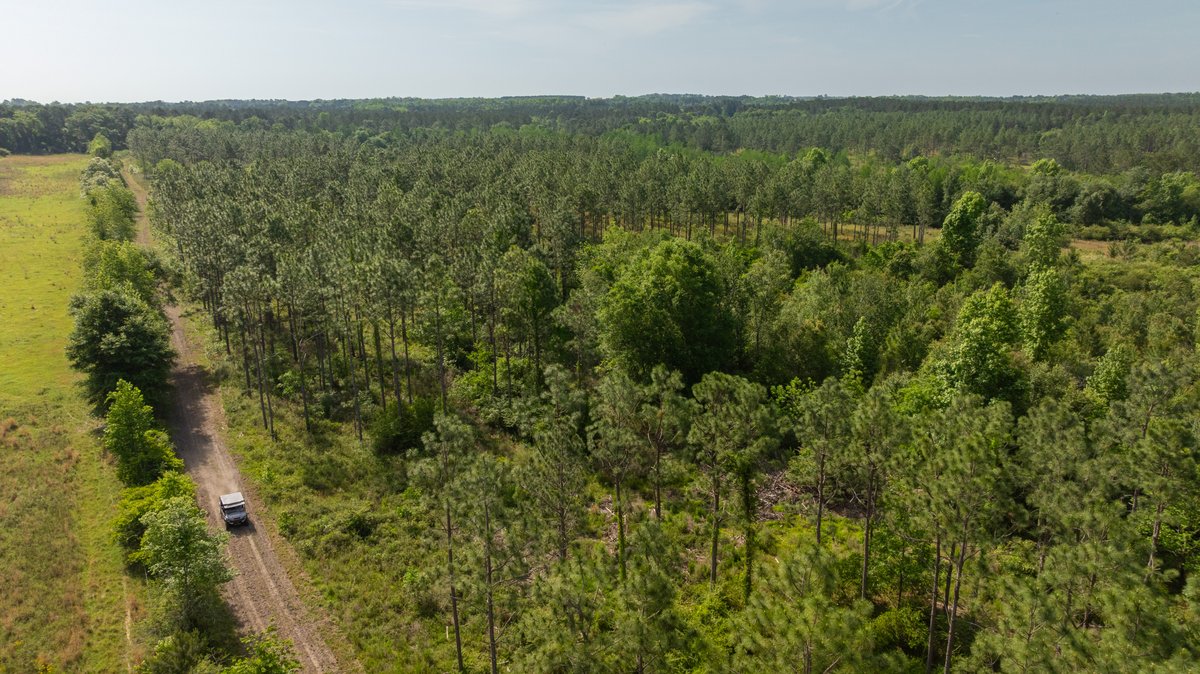 Image for 195+/- Total Acres - Premium Recreational Tract - Trophy Whitetails, Stocked Ponds & Plantation Pines