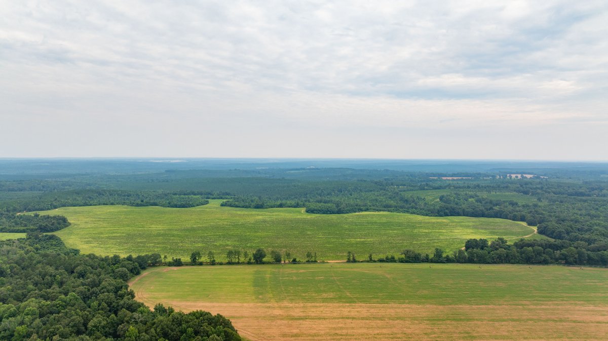 Image for The Summerford Place - 240+/- Total Acres - Irrigated Row Crop Farm - Beautiful Pond w/ Premium Hunting
