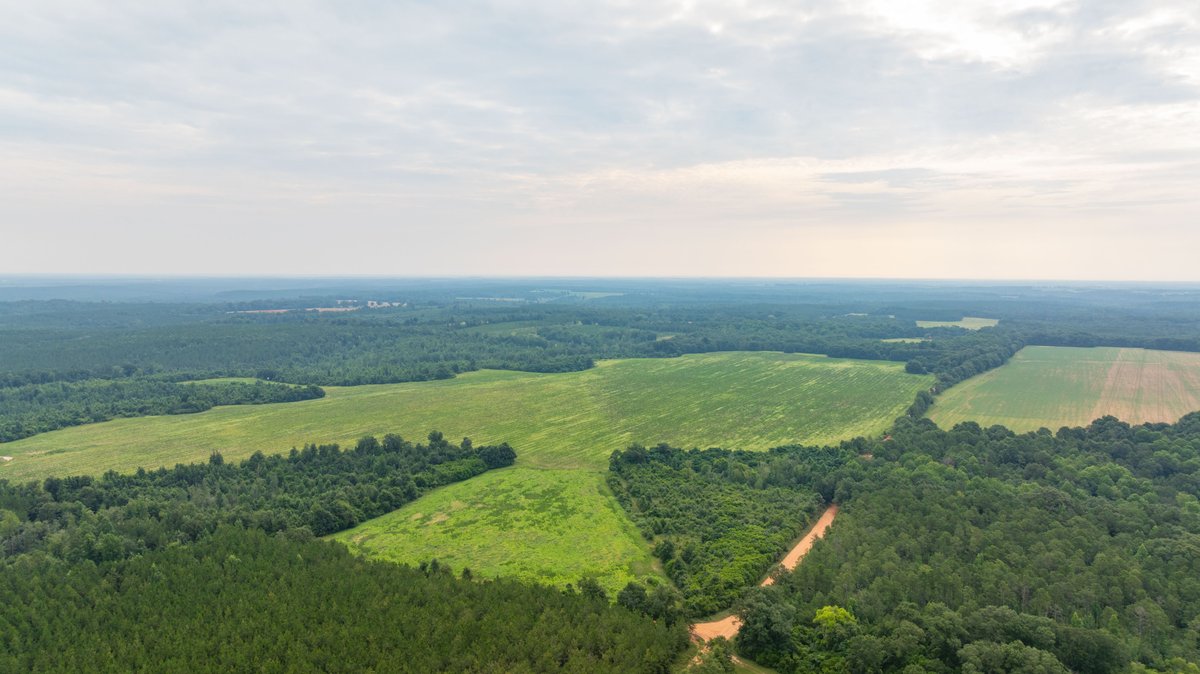 Image for The Summerford Place - 240+/- Total Acres - Irrigated Row Crop Farm - Beautiful Pond w/ Premium Hunting