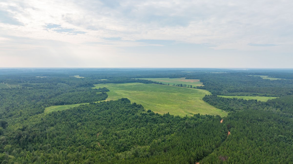 Image for The Summerford Place - 240+/- Total Acres - Irrigated Row Crop Farm - Beautiful Pond w/ Premium Hunting