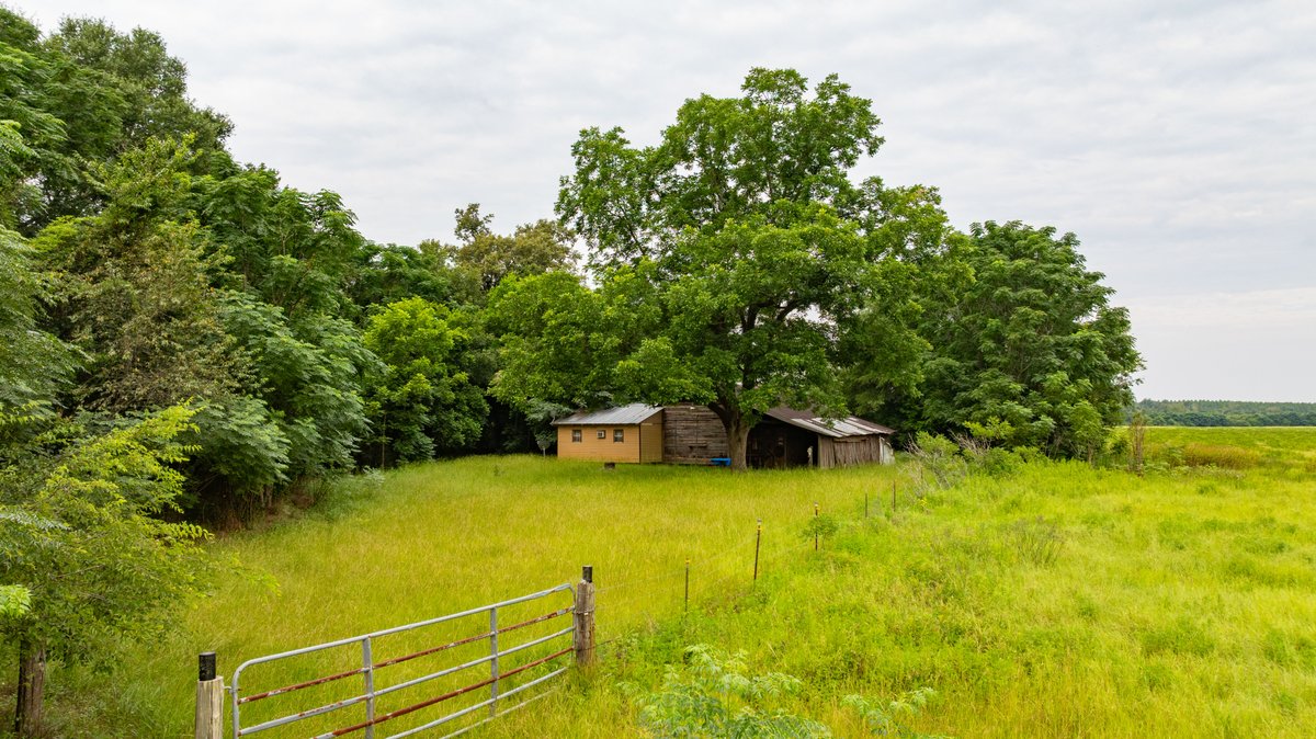 Image for The Summerford Place - 240+/- Total Acres - Irrigated Row Crop Farm - Beautiful Pond w/ Premium Hunting