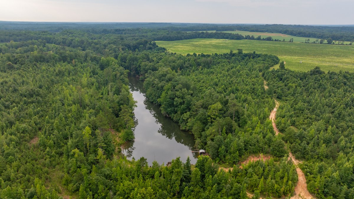Image for The Summerford Place - 240+/- Total Acres - Irrigated Row Crop Farm - Beautiful Pond w/ Premium Hunting