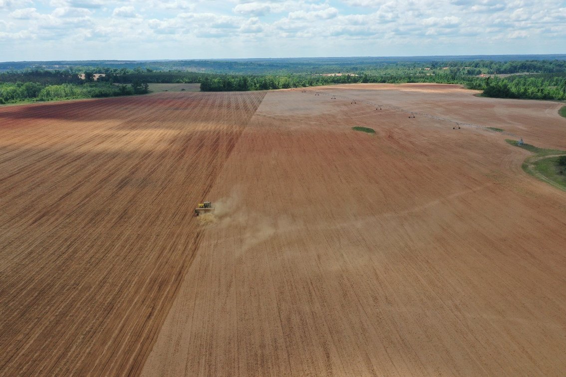Image for The Summerford Place - 240+/- Total Acres - Irrigated Row Crop Farm - Beautiful Pond w/ Premium Hunting