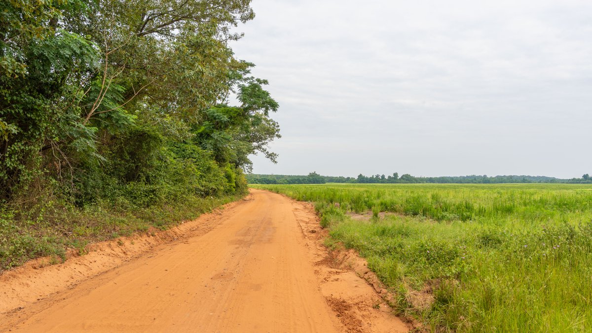 Image for The Summerford Place - 240+/- Total Acres - Irrigated Row Crop Farm - Beautiful Pond w/ Premium Hunting
